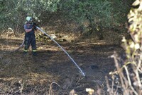 Hasiči od rána pokračují s hašením hořícího lesa u Žehrova na Mladoboleslavsku